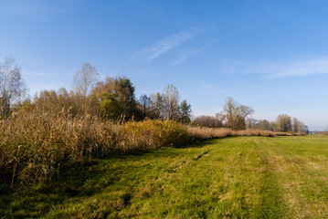 Dolina rzeki Narew i Supraśl w okolicy Złotorii, Podlasie, Polska