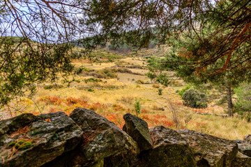 Fototapeta na wymiar First fall colors in the mountains of Madrid, Spain