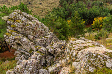 First fall colors in the mountains of Madrid, Spain