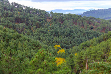 First fall colors in the mountains of Madrid, Spain