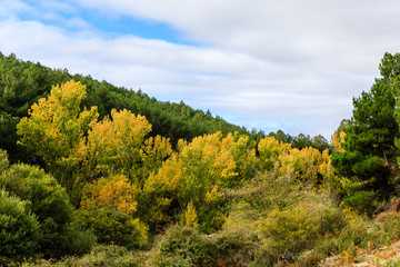 First fall colors in the mountains of Madrid, Spain