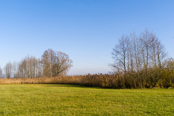Dolina rzeki Narew i Supraśl w okolicy Złotorii, Podlasie, Polska