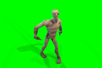 Fantasy character Mummy - 3D render, on green background