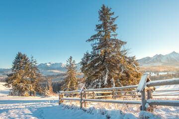 Winter landscape. Snowy nature in mountains in sunny frosty morning. Skiing resort in highlands at...