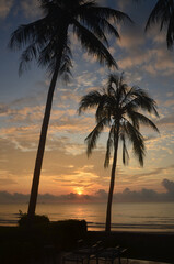 Fototapeta na wymiar Tropical exotic sunrise seascape with Palm trees at Huay Yang beach resort, Thailand.