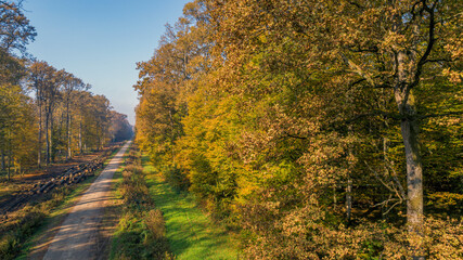 Fototapeta premium Beautiful autumn in Veliko Korenovo forest near Bjelovar from above