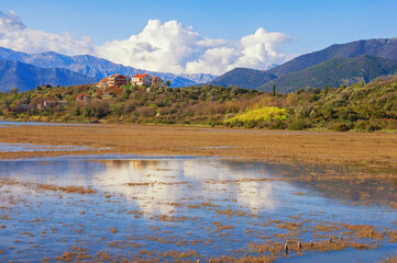 Beautiful wetland landscape. Montenegro, Tivat. View of Tivat Salina  ( Tivatska Solila ) . Halophytic vegetation