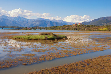 Wetland landscape. Montenegro, Tivat. View of Tivat Salina  ( Tivatska Solila ) . Halophytic vegetation