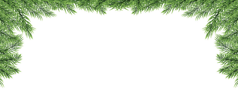 Christmas border with Fir branch isolated on white background