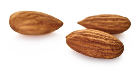 almond nut close-up