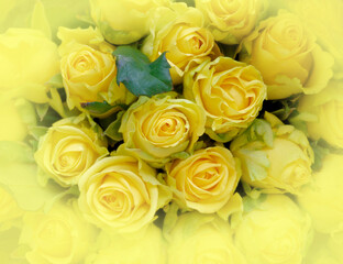 colorful yellow roses bouquet top view, soft and airy natural background