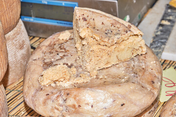 Casu Marzu, traditional sardinian cheese with worms
