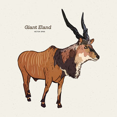 The giant eland (Taurotragus derbianus), hand draw sketch vector.