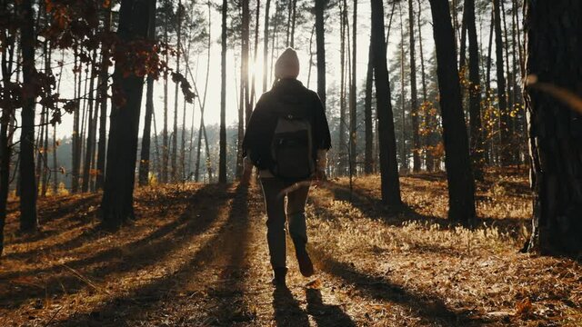 Rear view: Woman tourist walking in the fall forest on a sunny autumn day, slow-motion 4K video