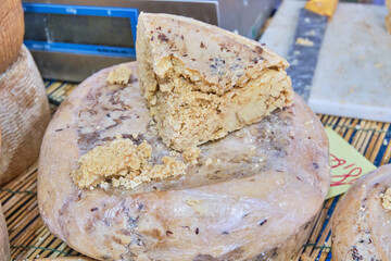 Casu Marzu, traditional sardinian cheese with worms