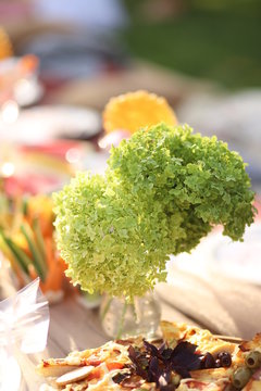green hydrangea in a vase