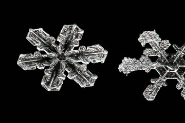 real snowflakes