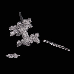 real snowflakes