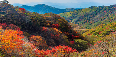 秋のくじゅう連山 鮮やかな紅葉