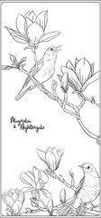 Magnolia tree branch with flowers and nightingale Coloring page for the adult coloring book. Outline hand drawing vector illustration..