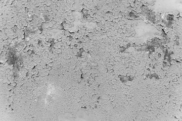 Fototapeta premium Grunge wall highly detailed textured