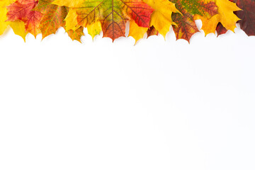 Colourful autumn leaves isolated on white background with copyspace. Fall concept. Top view