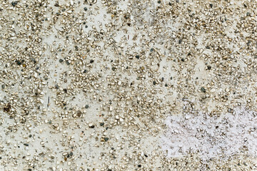 Background texture of stone