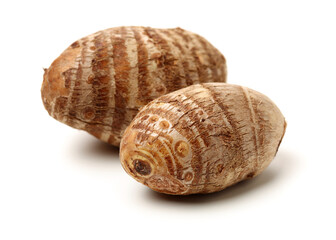 Taro on a white background