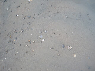 The beach sand background photo