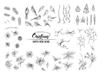Winter birds, ribbons, Christmas decoration and wreath of spruce, poinsettia, dog rose, cowberry, cranberry, fir. Set of elements for design. Graphic drawing, engraving style. Vector illustration..
