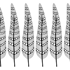 Decorative, ornate bird feathers. Black and white outline illustration for coloring book and page.