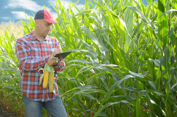 Farmer in cap with clipboard inspecting corn at field somewhere in Ukraine