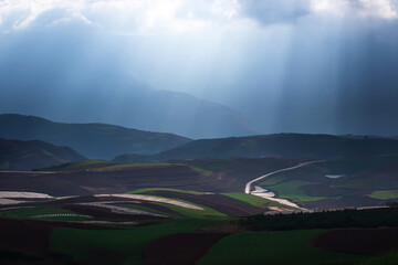 Scenery wheat terraces at dusk.