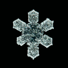 real snowflake 