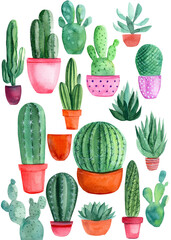 Set of cacti and succulents in pots, indoor plants on a white background, watercolor illustration, hand-drawing, doodles