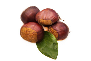 raw chestnuts isolated on white