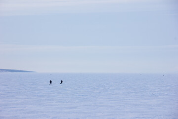 Fishermen walking on a frozen lake with ice fishing towards the horizon. Snowy field.