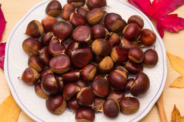 plate of chestnuts on wood and dried leaves
