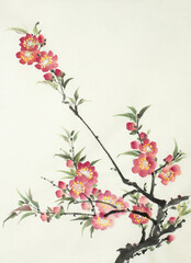 flowering peach branch