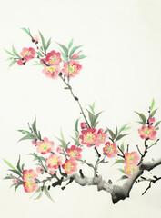 Obraz na płótnie Canvas flowering peach branch