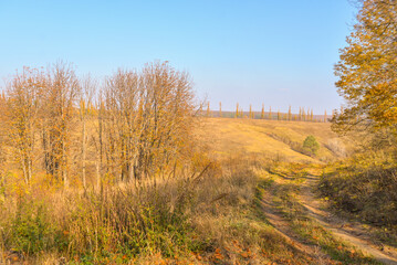 autumn landscape with road and trees