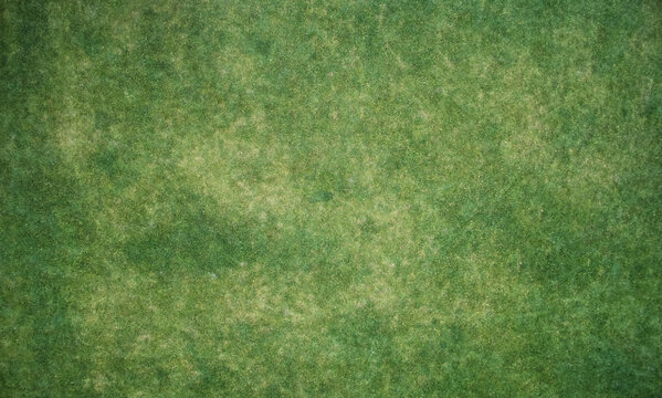 Green meadow texture