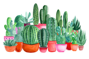composition of watercolor green cacti, succulents, haworthia on a white background, hand-drawing, greeting card © Hanna