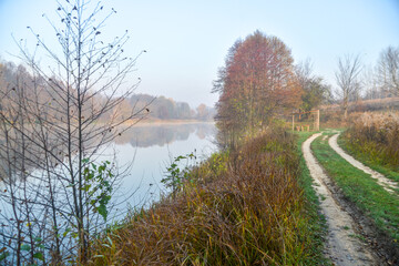 road in autumn forest