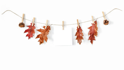 Autumn composition of garlands on a rustic string. Autumn leaves and flowers, acorns, pine cones, dried spices, washing clips. Place for your decorations or text, top view, flat lay. Copy space, White