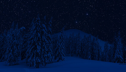 Night landscape with snow and stars