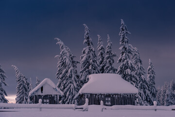 Winter landscape with small old house