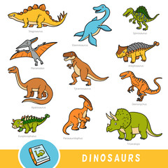 Set of dinosaurs, collection of vector animals with names in English. Cartoon visual dictionary for children © ksenyasavva