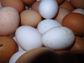 farm eggs natural