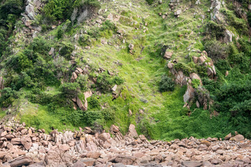View of Phillip Island from a boat cruise around the island